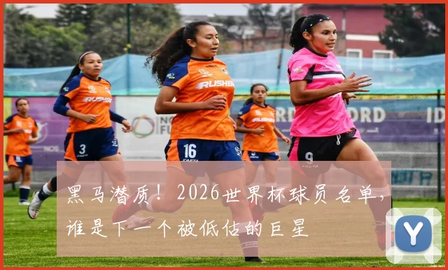 黑马潜质！2026世界杯球员名单，谁是下一个被低估的巨星